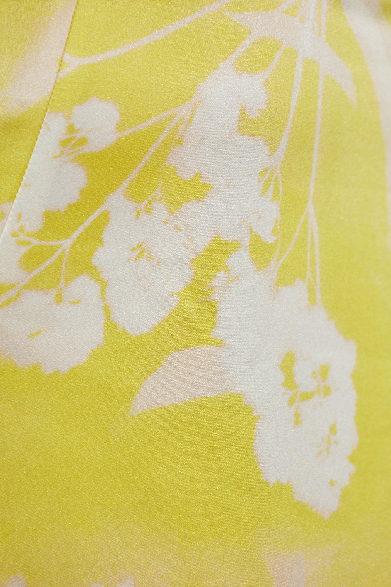 Shop Fabiana Filippi X Lucia Cristiani Tilia-print Maxi Skirt In Yellow