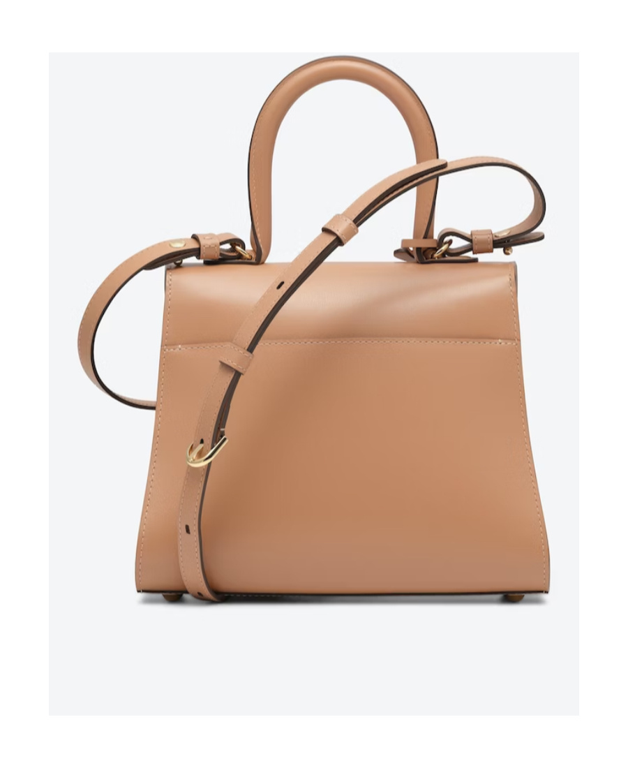 Delvaux Small Brillant Shoulder Bag In Pink