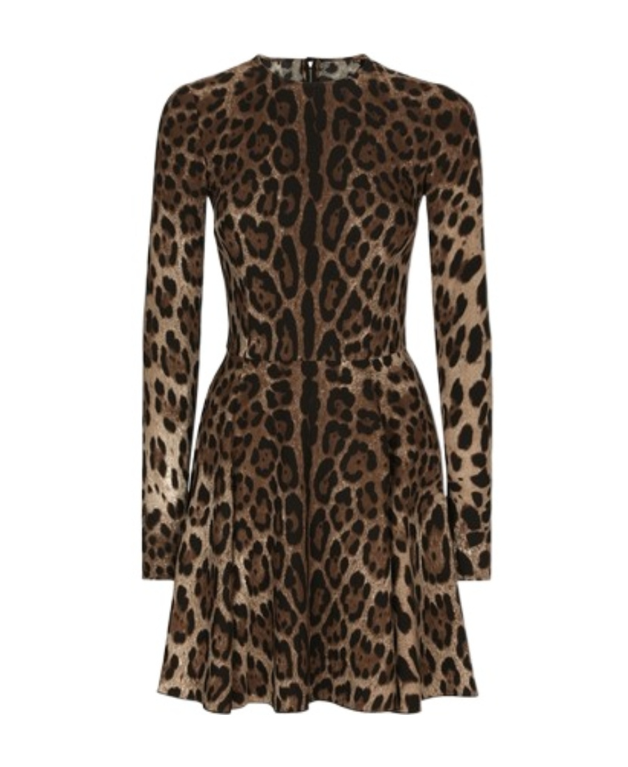 Dolce & Gabbana Leopard-print Short Dress In Black