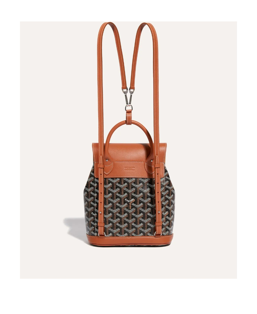 Pre-owned Goyard Mini Alpin Backpack In Multicolor