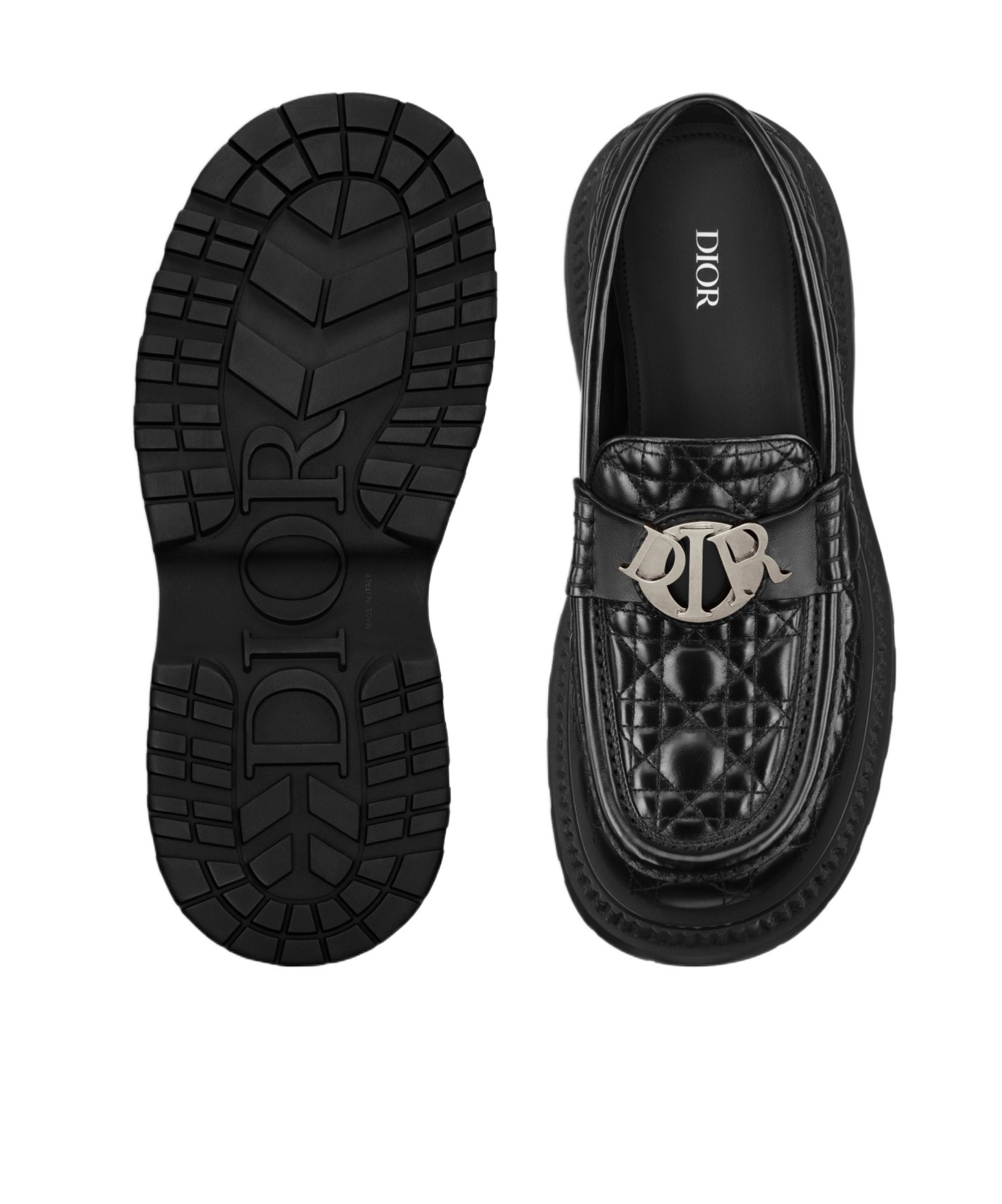 Dior Buffalo Loafer Shoes In Black