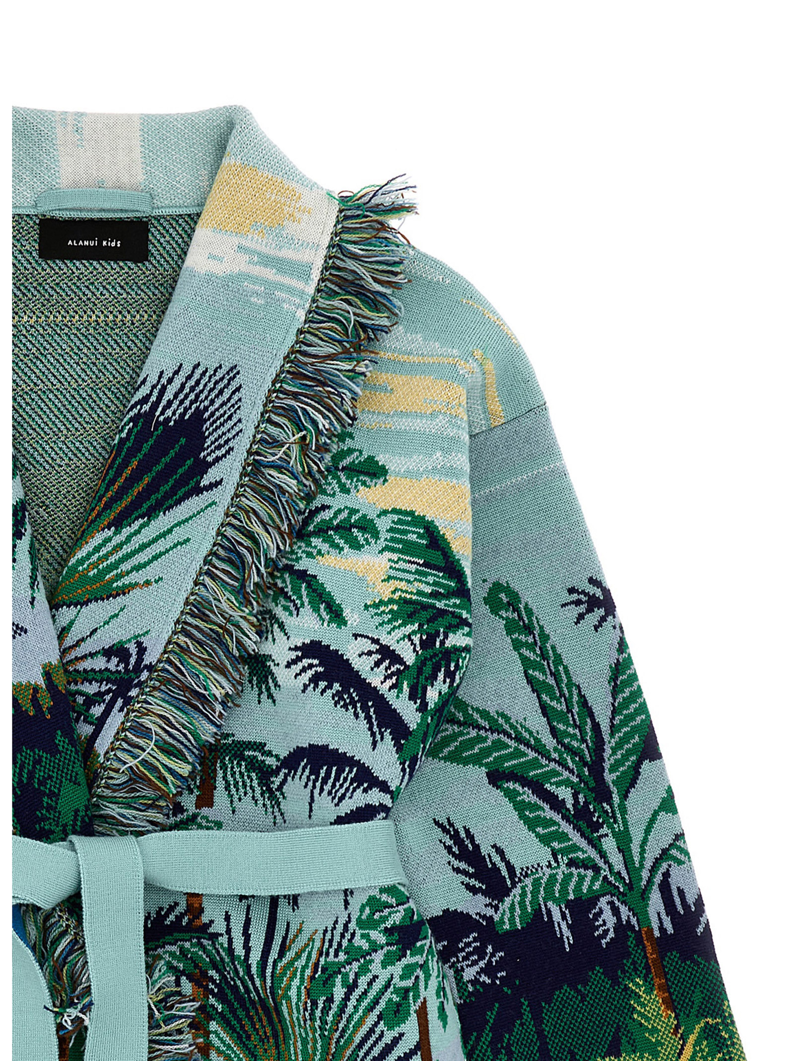 Shop Alanui V-neck Cardigan In Green