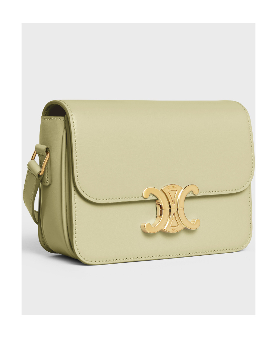 Celine Teen Triomphe Bag In Shiny Calfskin In Green