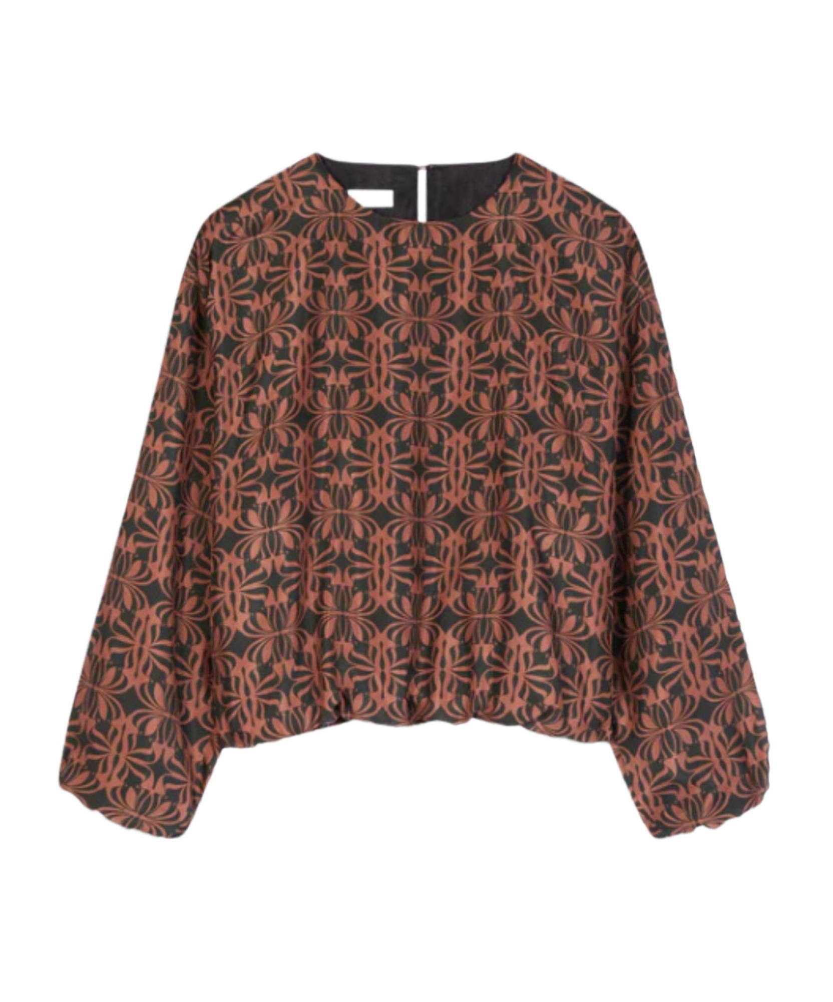 Dries Van Noten Long-sleeved Blouse In Brown