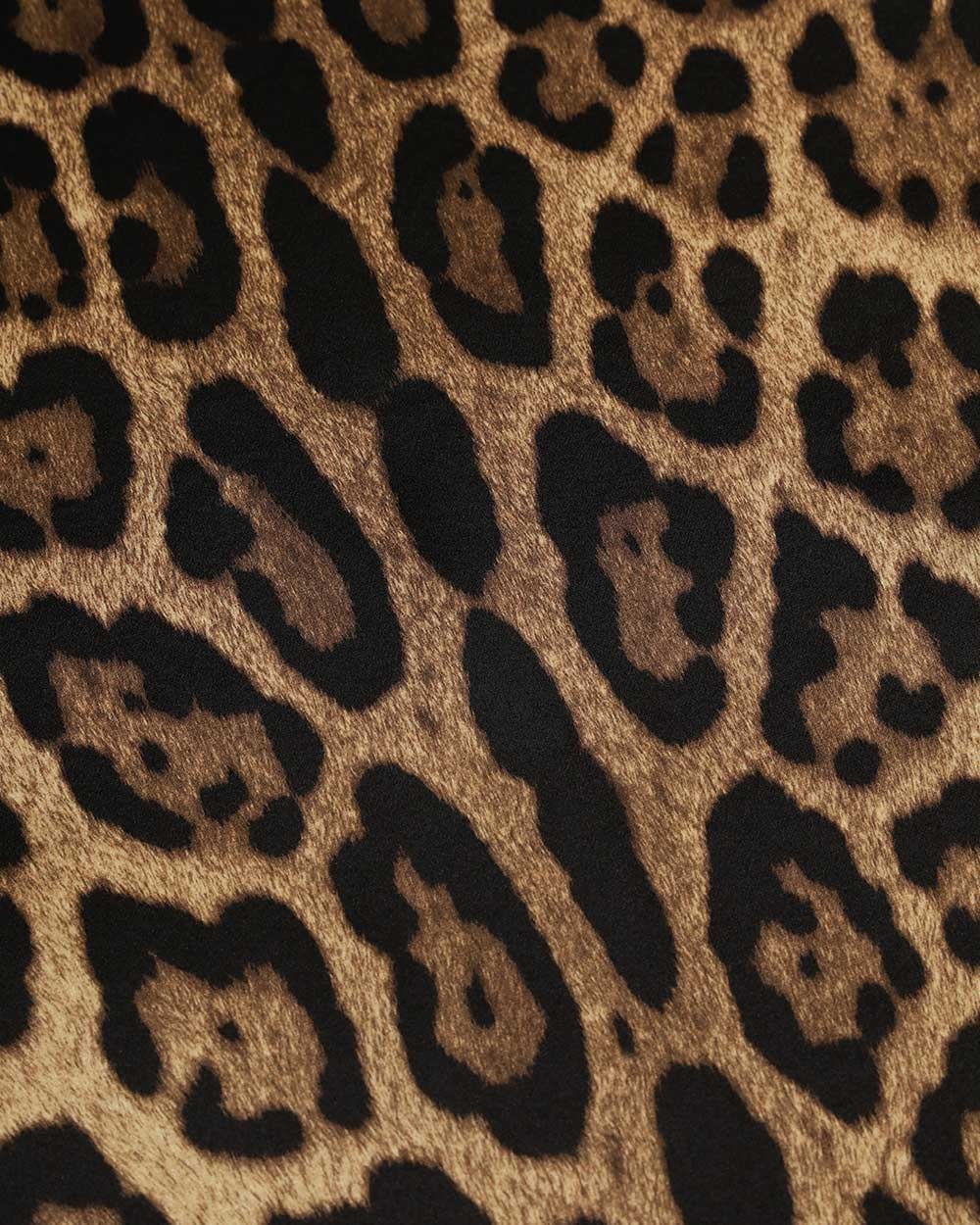 Dolce & Gabbana Leopard Print Scarf In Black