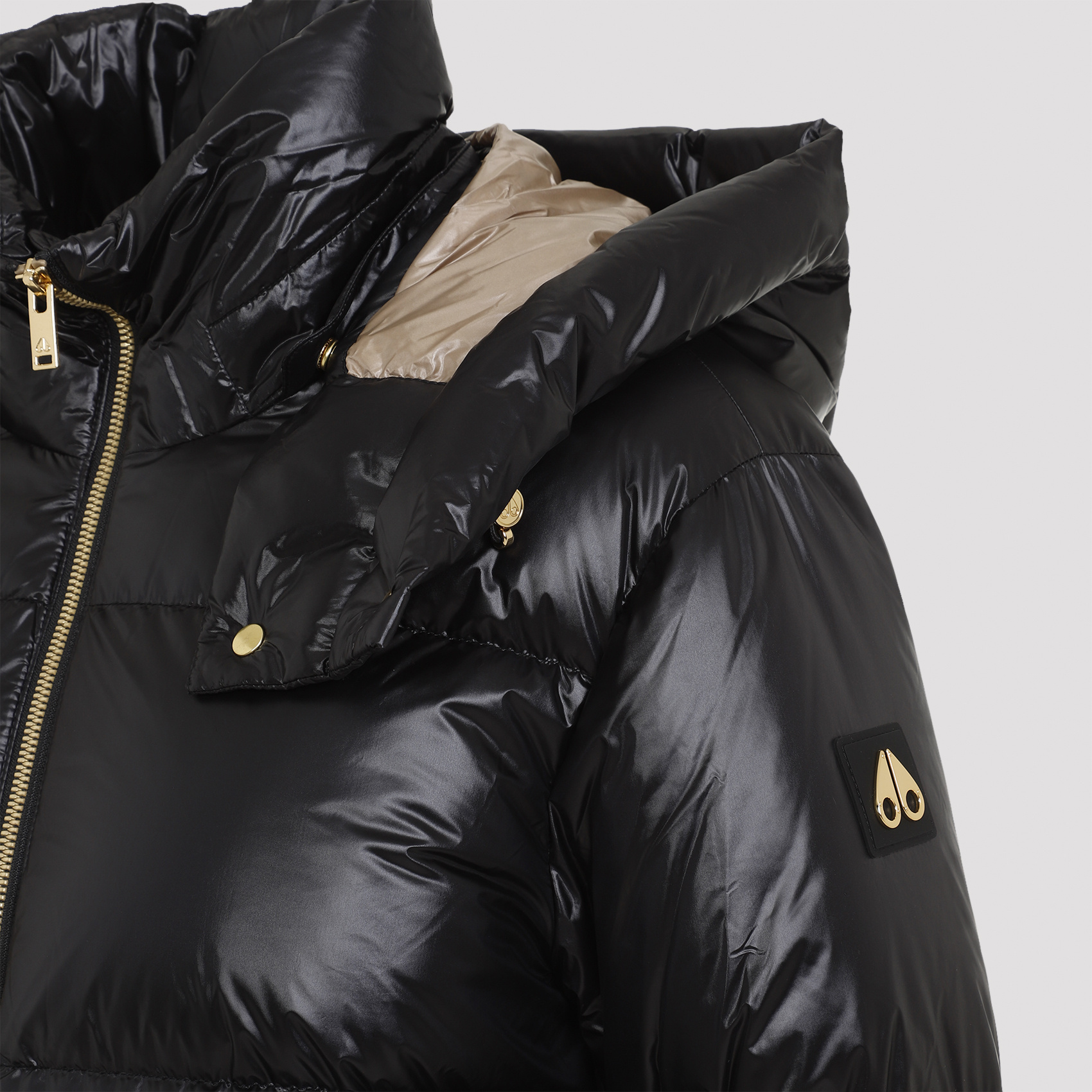 Moose Knuckles Wintercoat In Black