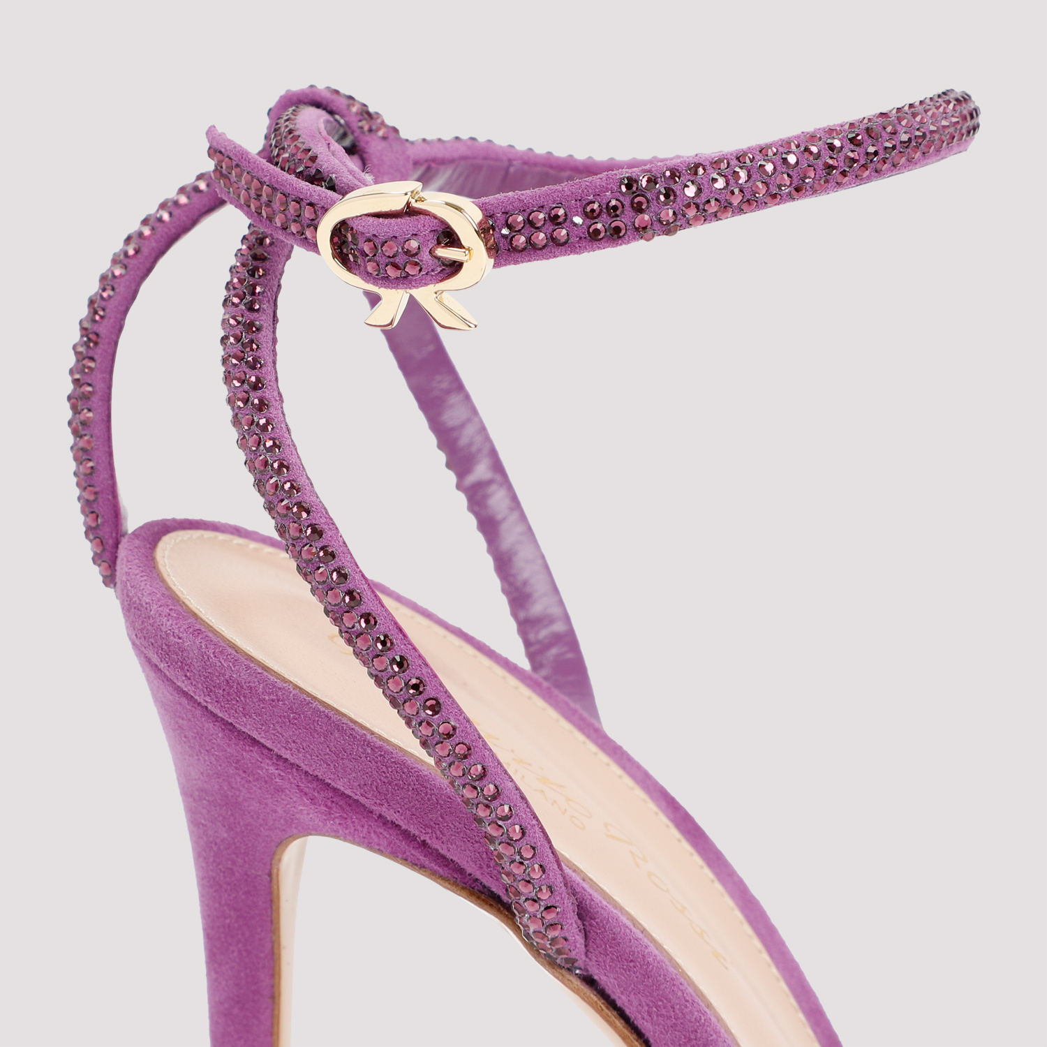 Gianvito Rossi 105 Crystal-embellished Plexiglass Pumps In Purple