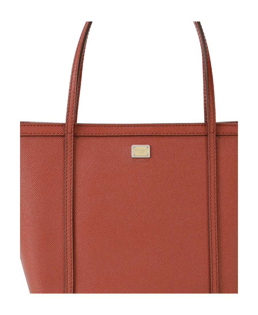 Dolce & Gabbana Logo Details Handbag In Brown