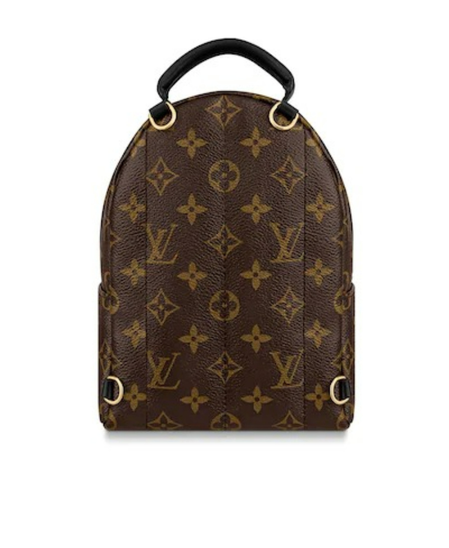 Pre-owned Louis Vuitton 2020 Mini Palm Springs Backpack In Brown