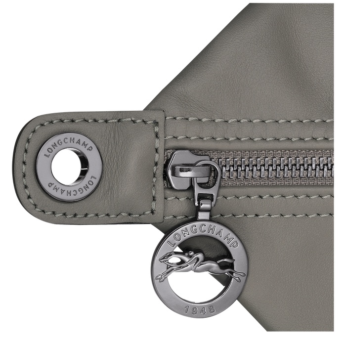 Longchamp Hobo Bag M Le Pliage Xtra In Gray