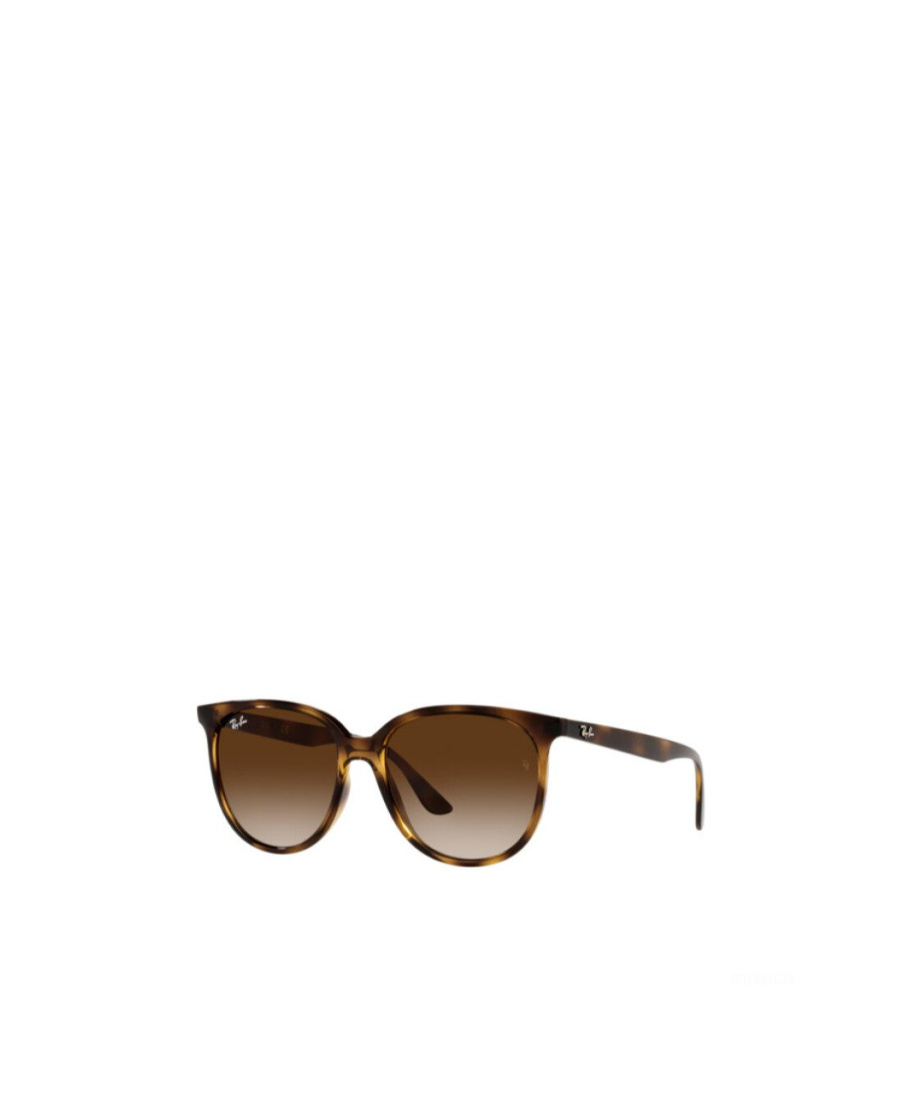 Ray Ban Emblem Daidai Pattern Sunglasses In Brown