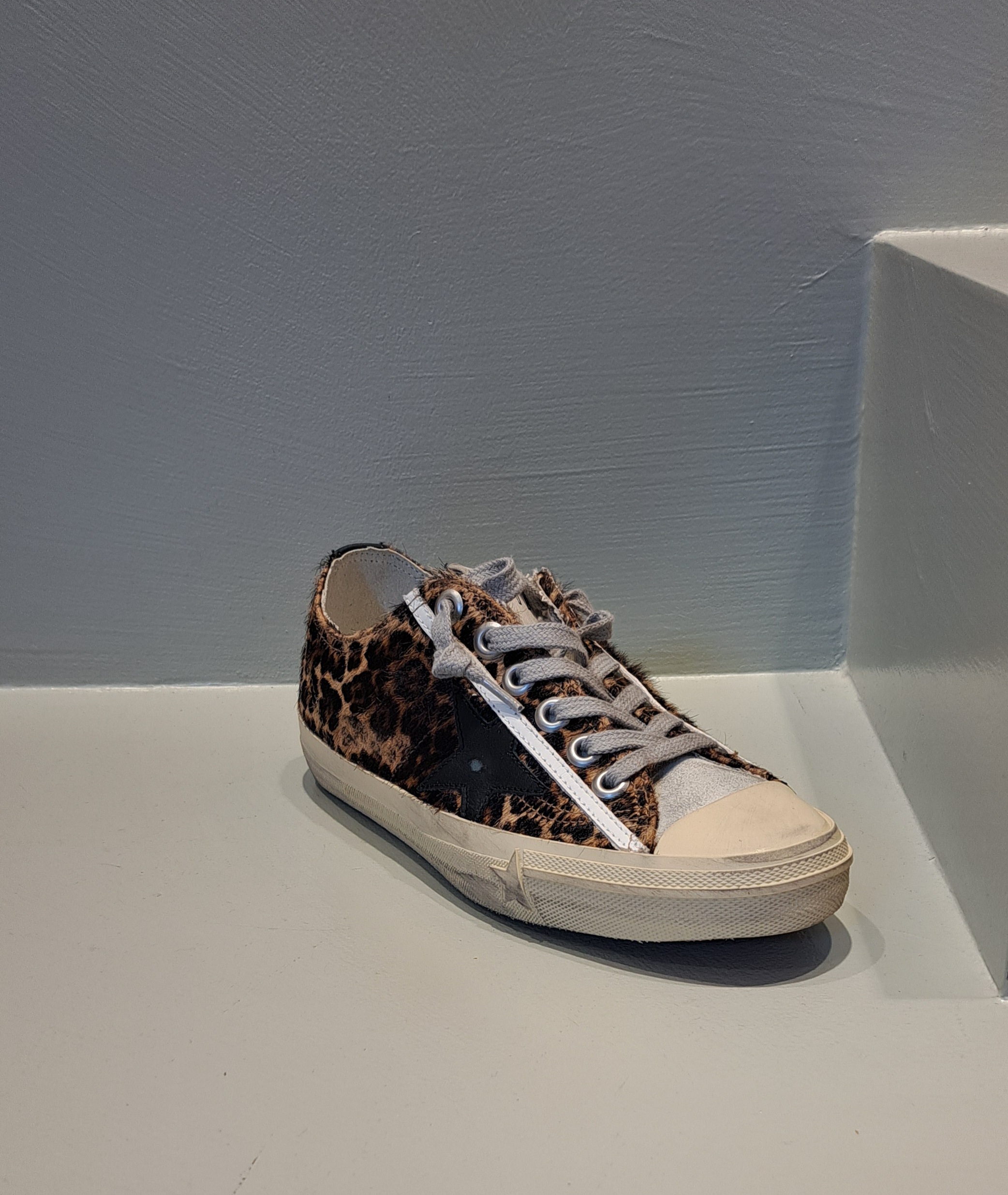 Shop Golden Goose V-star In Leopard Pony Skin With Black Leather Star And Heel Tab