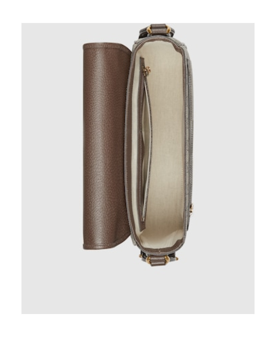 Gucci Beige Ophidia Messenger Bag In Nude