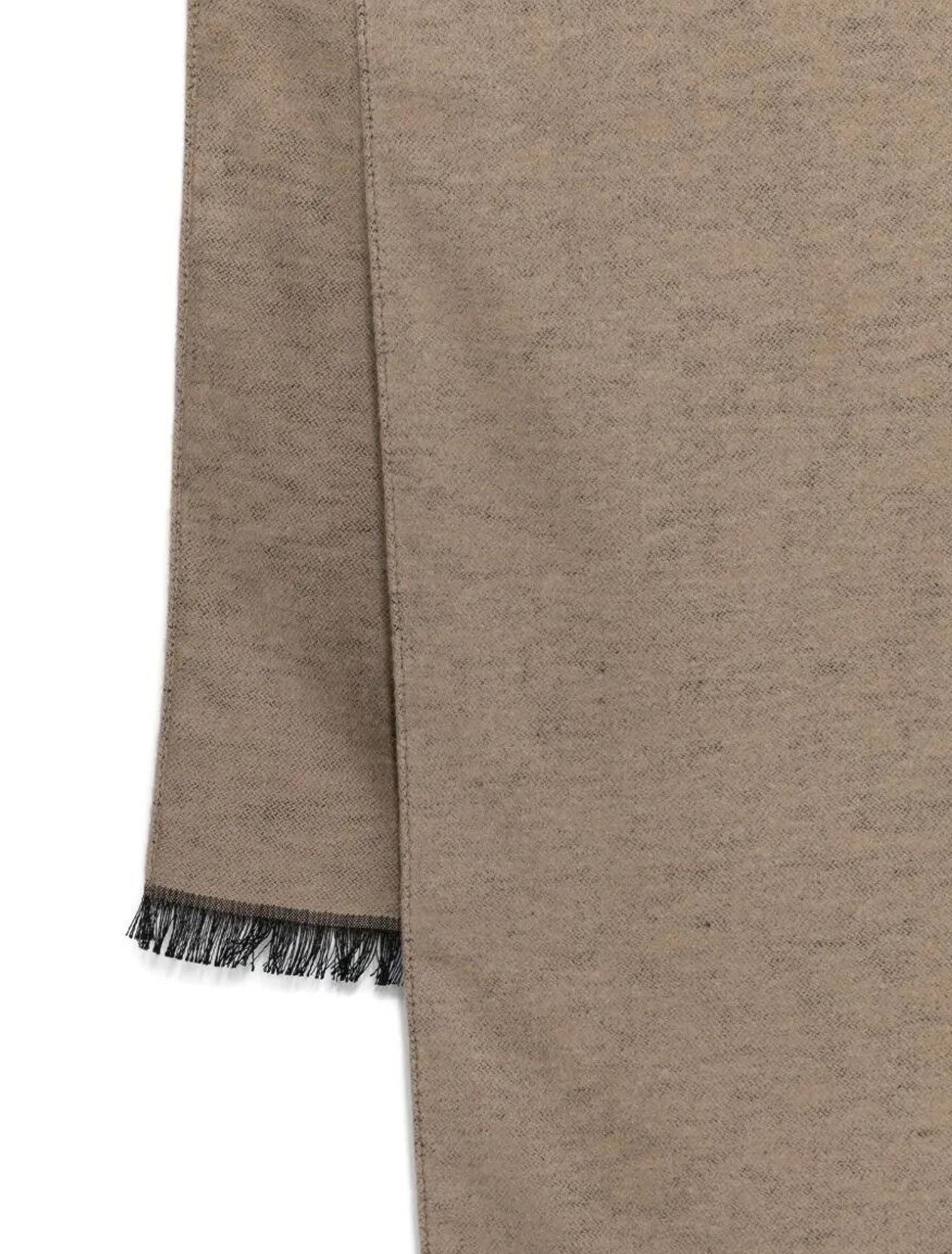 Emporio Armani Fringed Silk Scarf In Brown