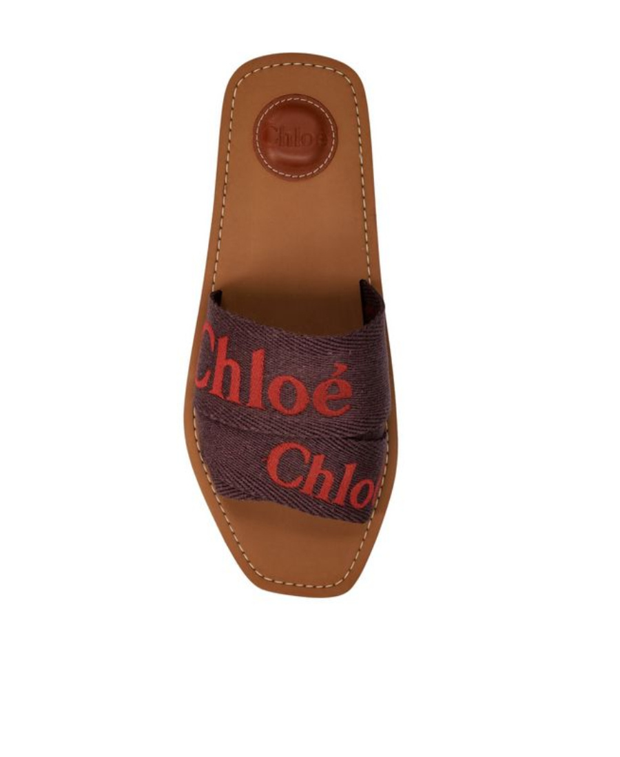 Chloé Logo Slippers In Brown
