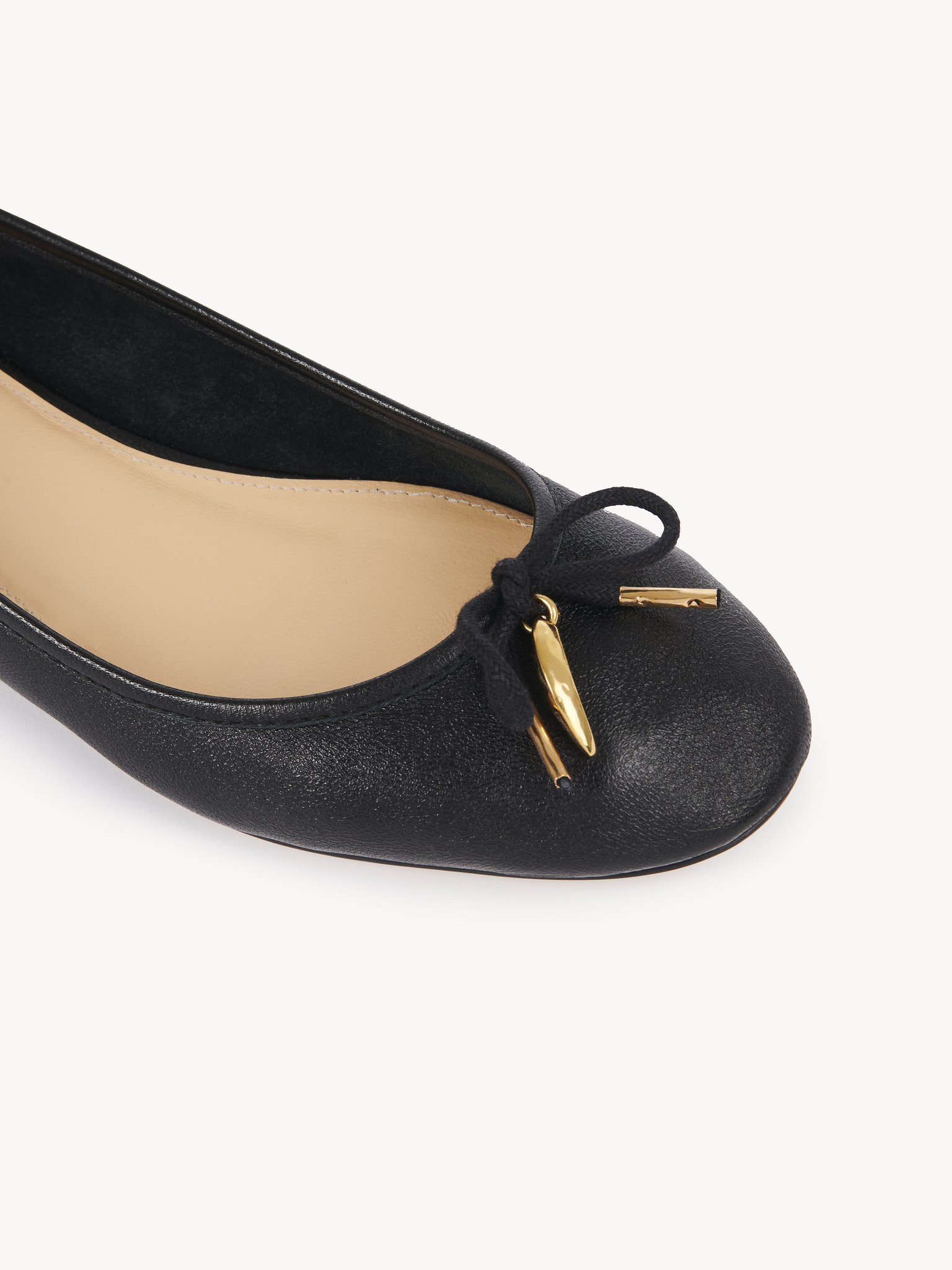 Shop Chloé Iris Ballet In Black