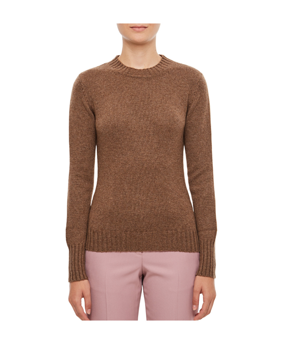 Max Mara Smirne Long Sleeved Crewneck Sweater In Brown