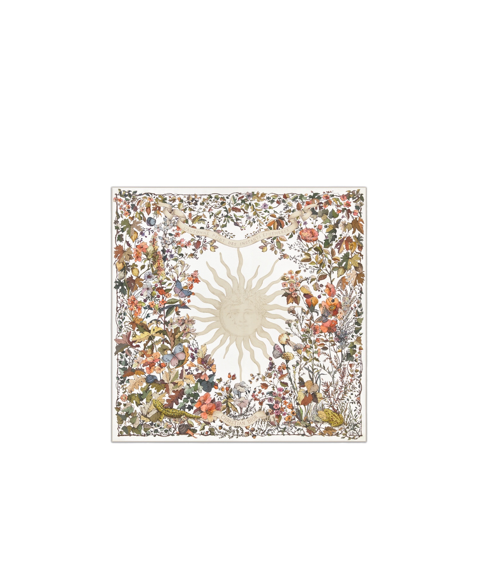 Dior Double-sided Printed Silk Scarf In Multicolor