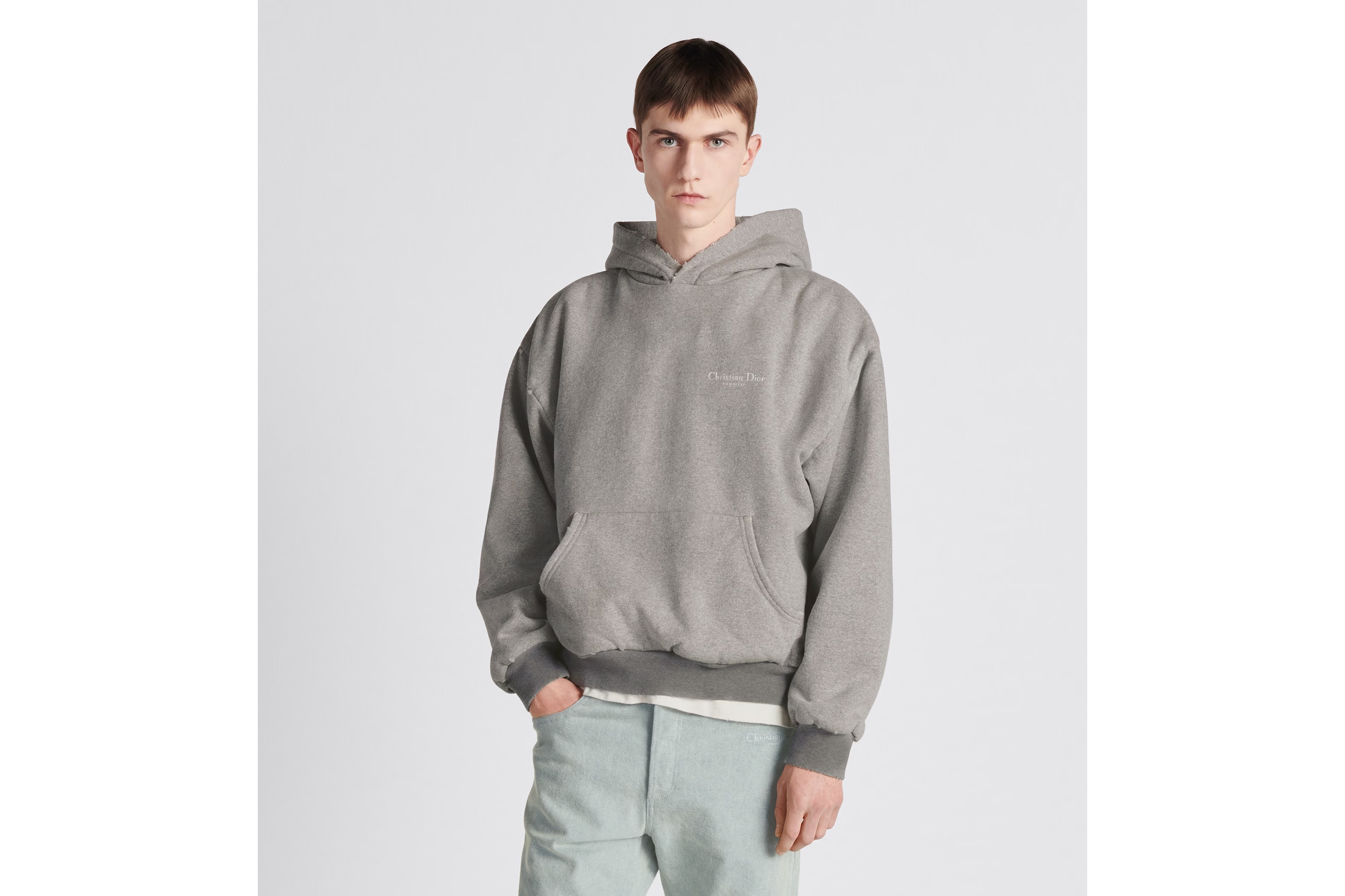 Dior Hooded Printed Sweater In Gray