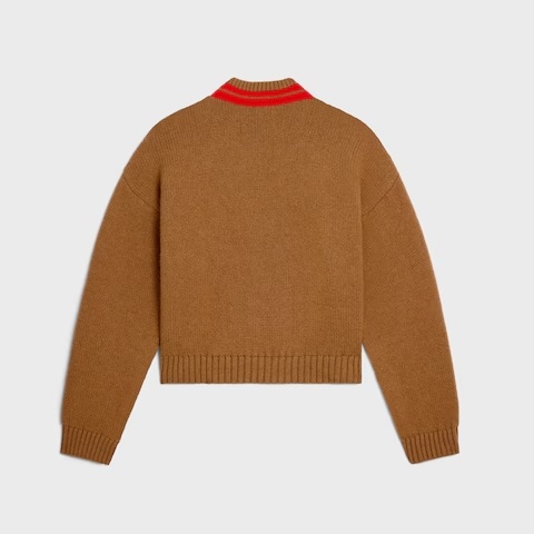 Celine V-neck Sweater In Cashmere In Brown
