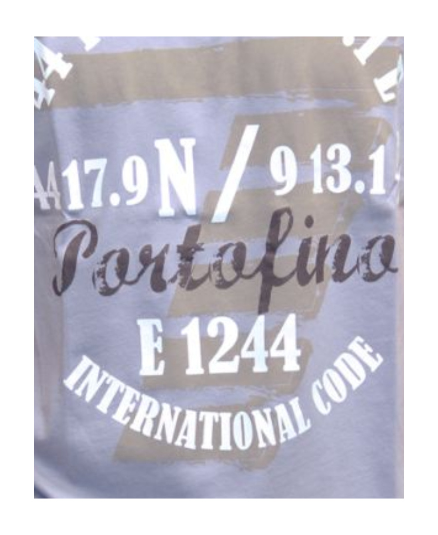 Ea7 Printed Round-necked T-shirt In Blue