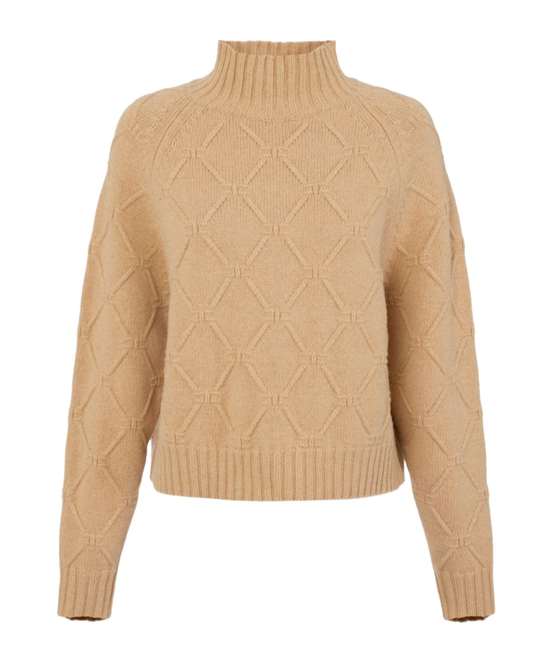 Elisabetta Franchi Diamond-pattern Turtleneck Sweater In Brown