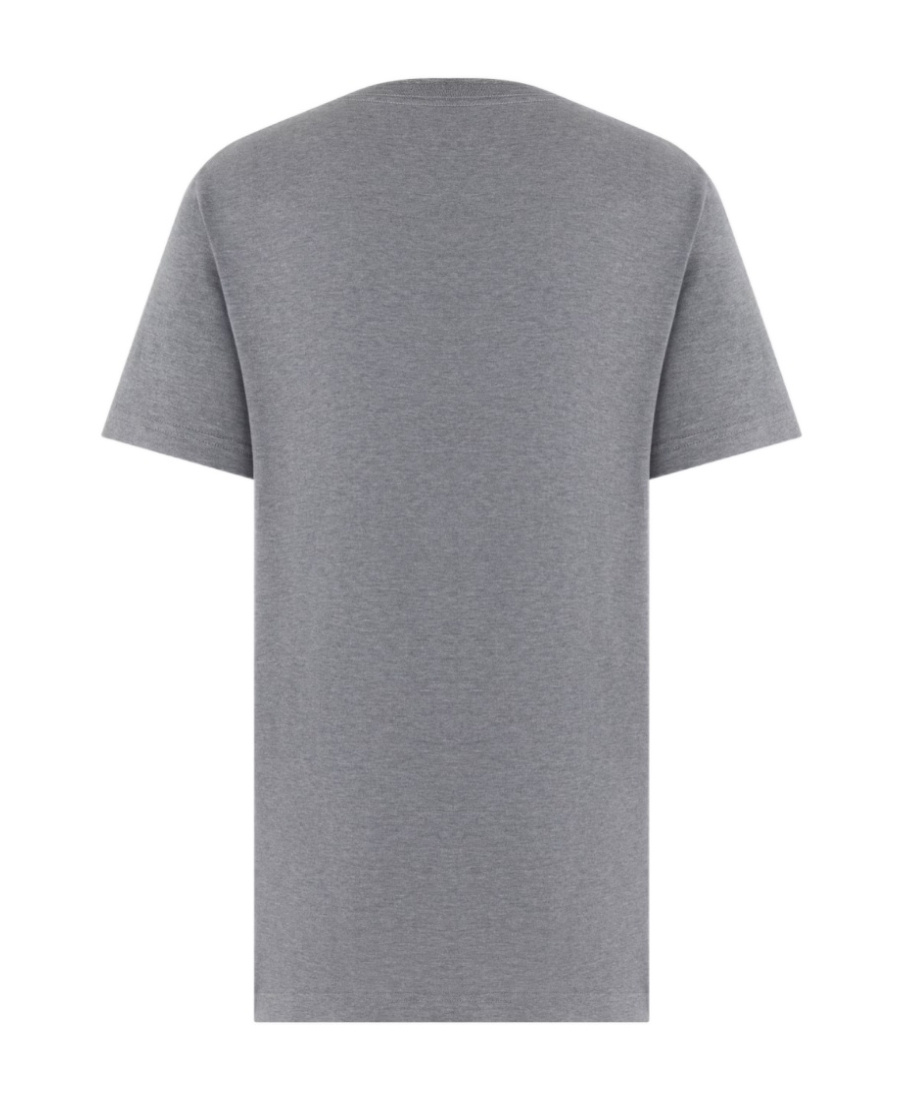 Dior Icons Short Sleeved T-shirt In Gray