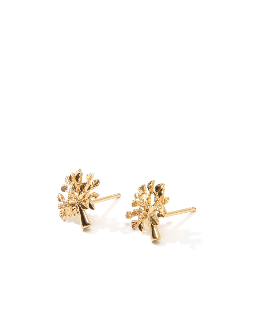 Mulberry Logo Tree Stud Earrings In Yellow