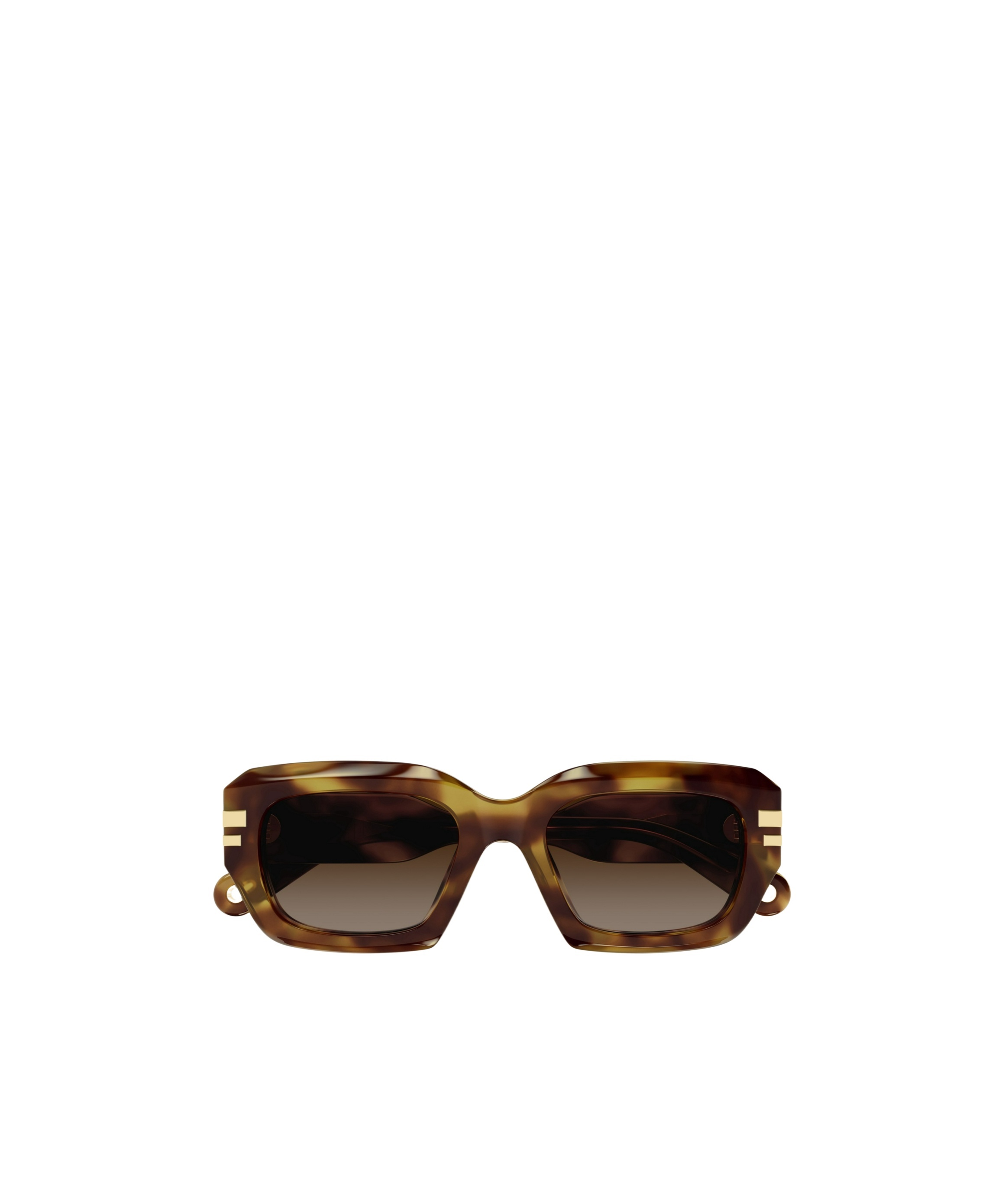 Chloé Ch0256s Sunglasses In Brown