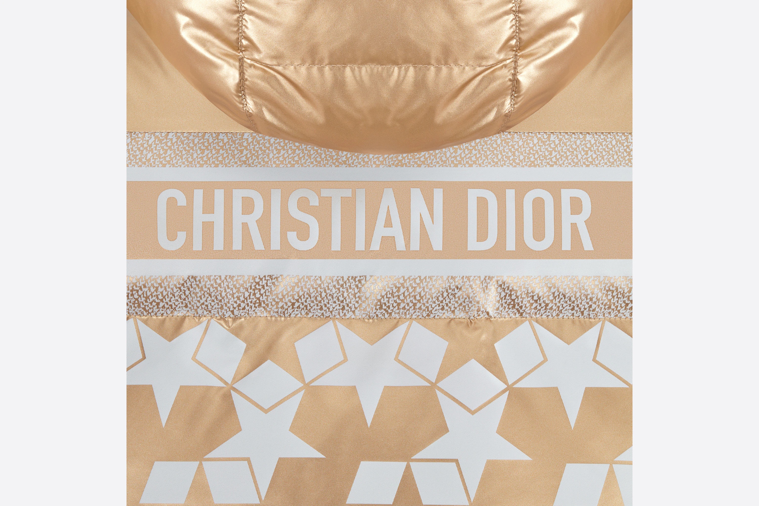 Dior Logo Down Jacket In Golden