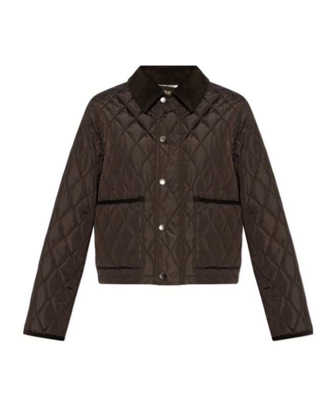 Burberry Long-sleeved Casual Jacket In Black