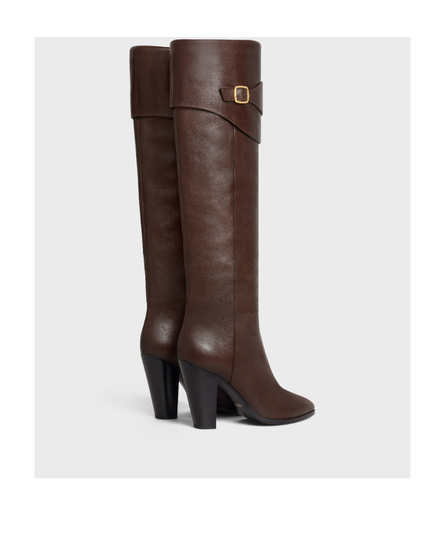 Celine Triomphe Wiltern Boots In Brown