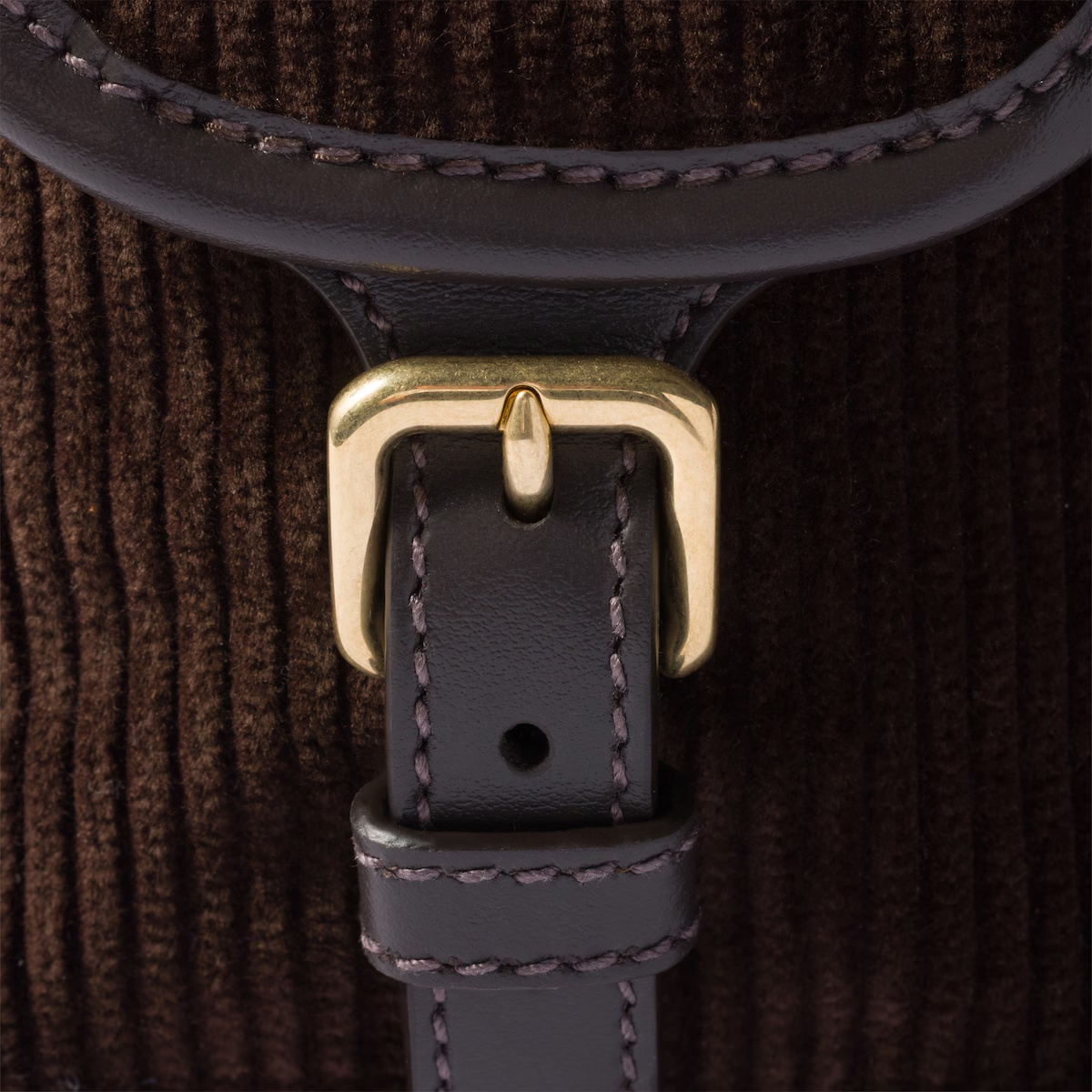 Miu Miu Logo Backpack In Brown