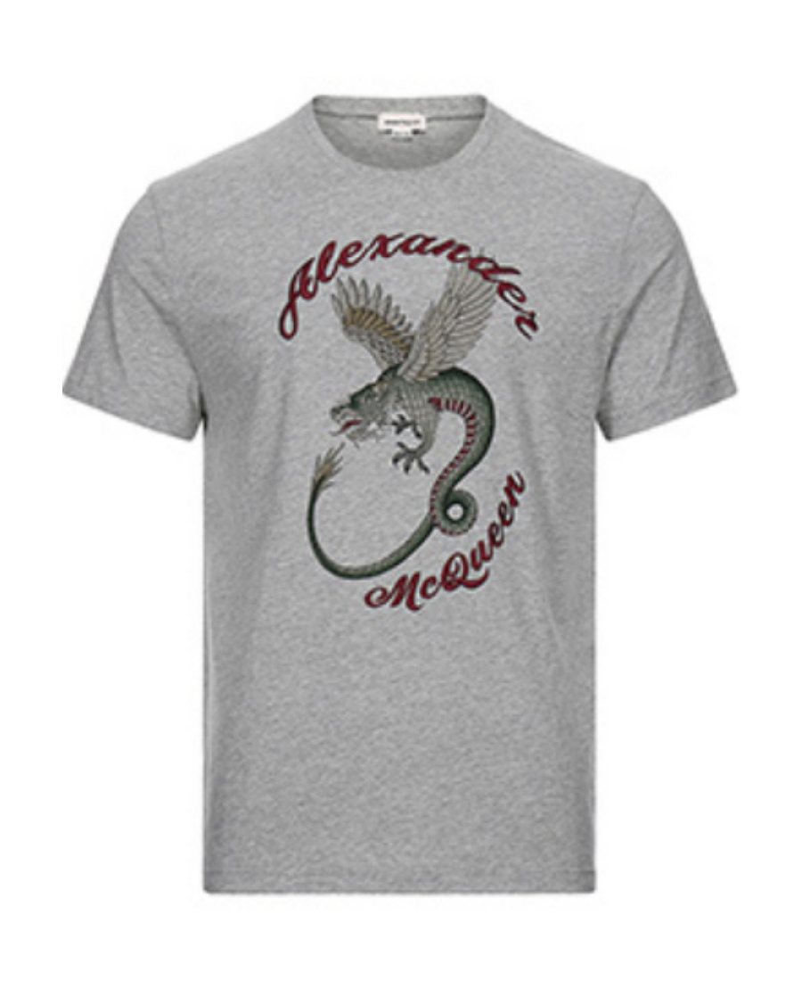Alexander Mcqueen Printed Short-sleeved T-shirt In Gray