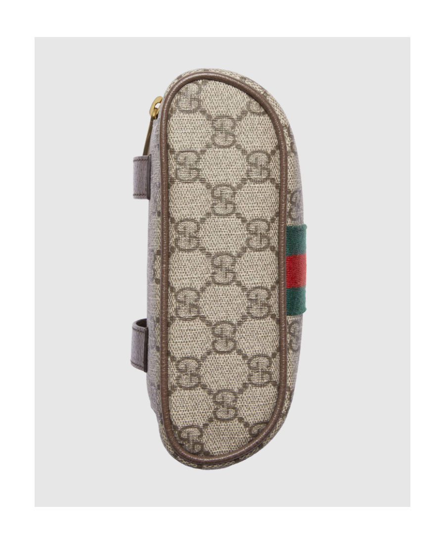 Gucci Ophidia Belt Bag In Multicolor