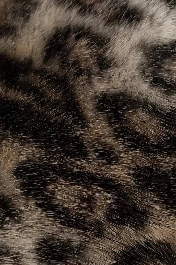 Dior Patterned Scarf In Animal Print