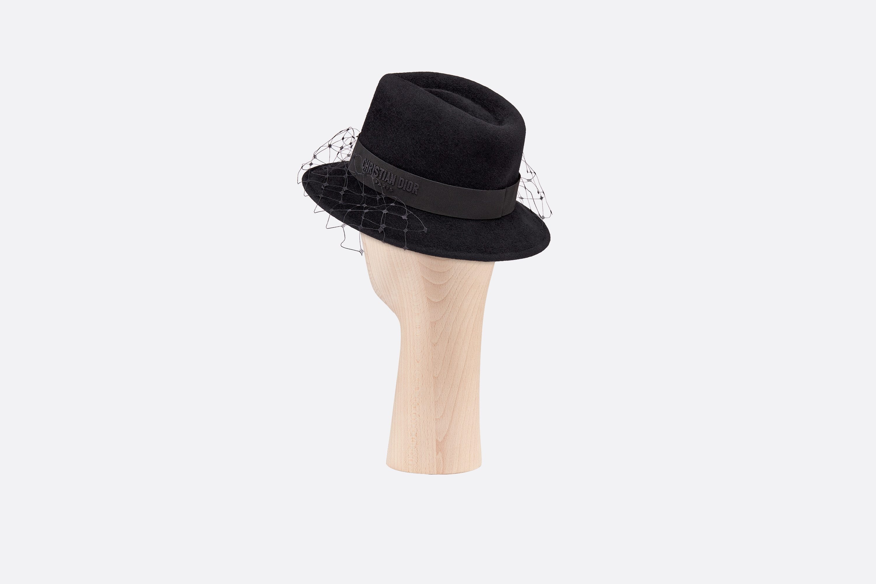 Dior Narrow-rimmed Hat With Veil In Black