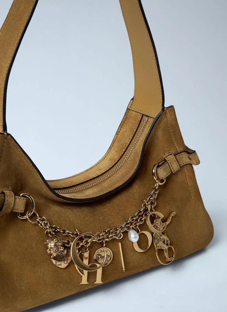 Chloé Zipper Shoulder Bag In Brown