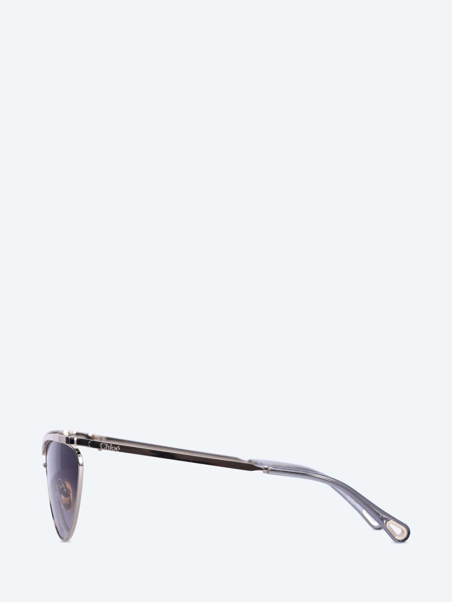 Chloé Full Frame Sunglasses In Multi