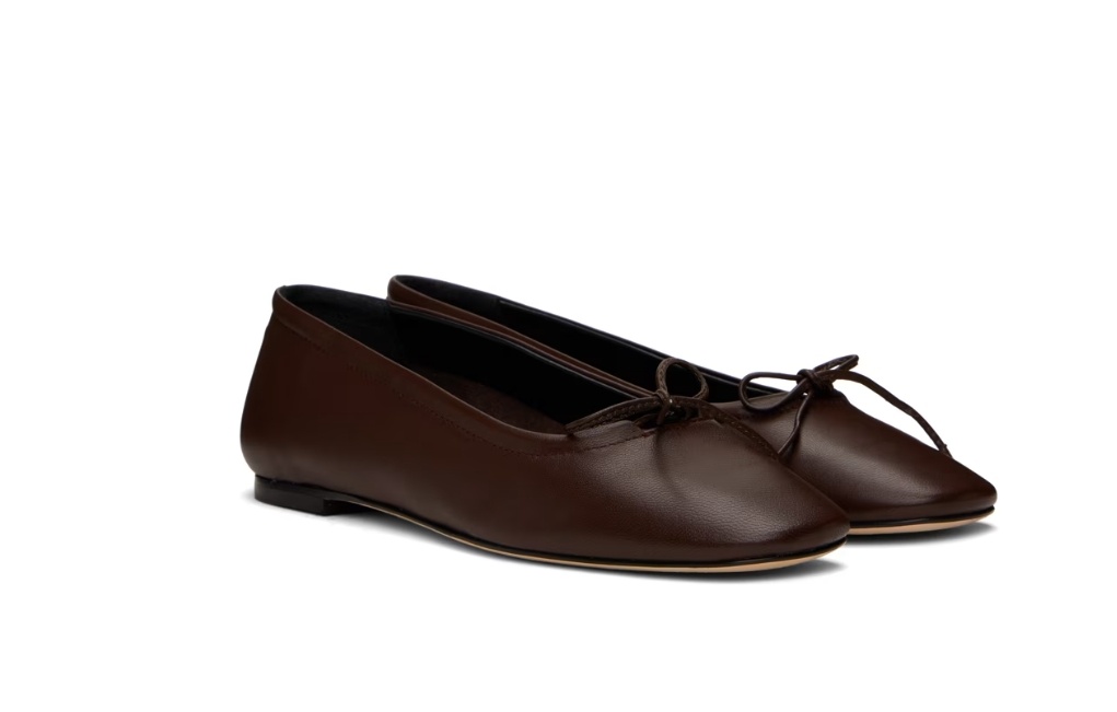 Aeyde Brown Delfina Ballerina Flats In Black