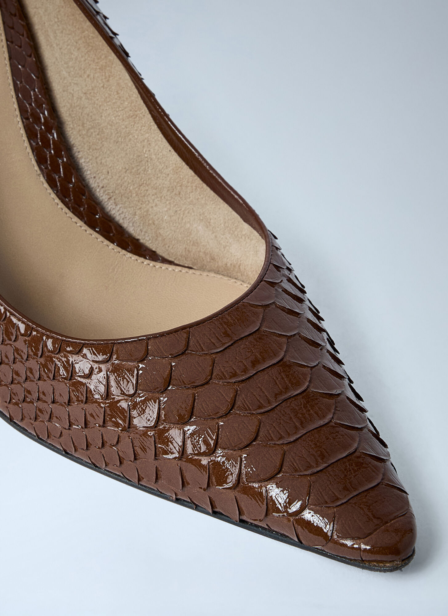 The Row Pointed High Heels In Brown