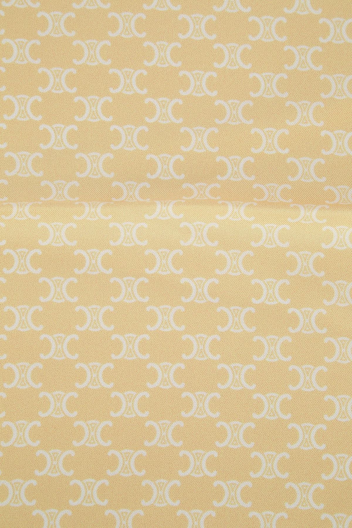 Celine Pattern Scarf In Brown