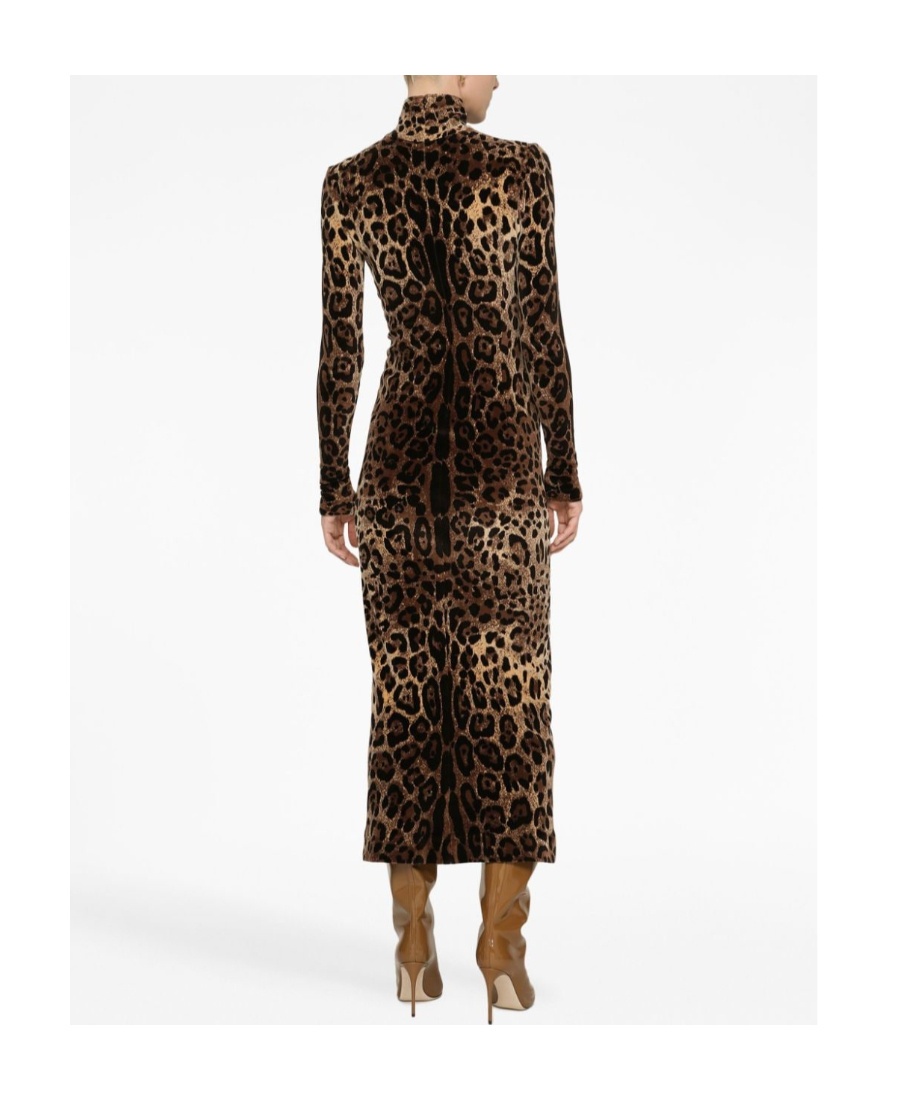 Dolce & Gabbana Leopard-print Mid-length Dress In Black