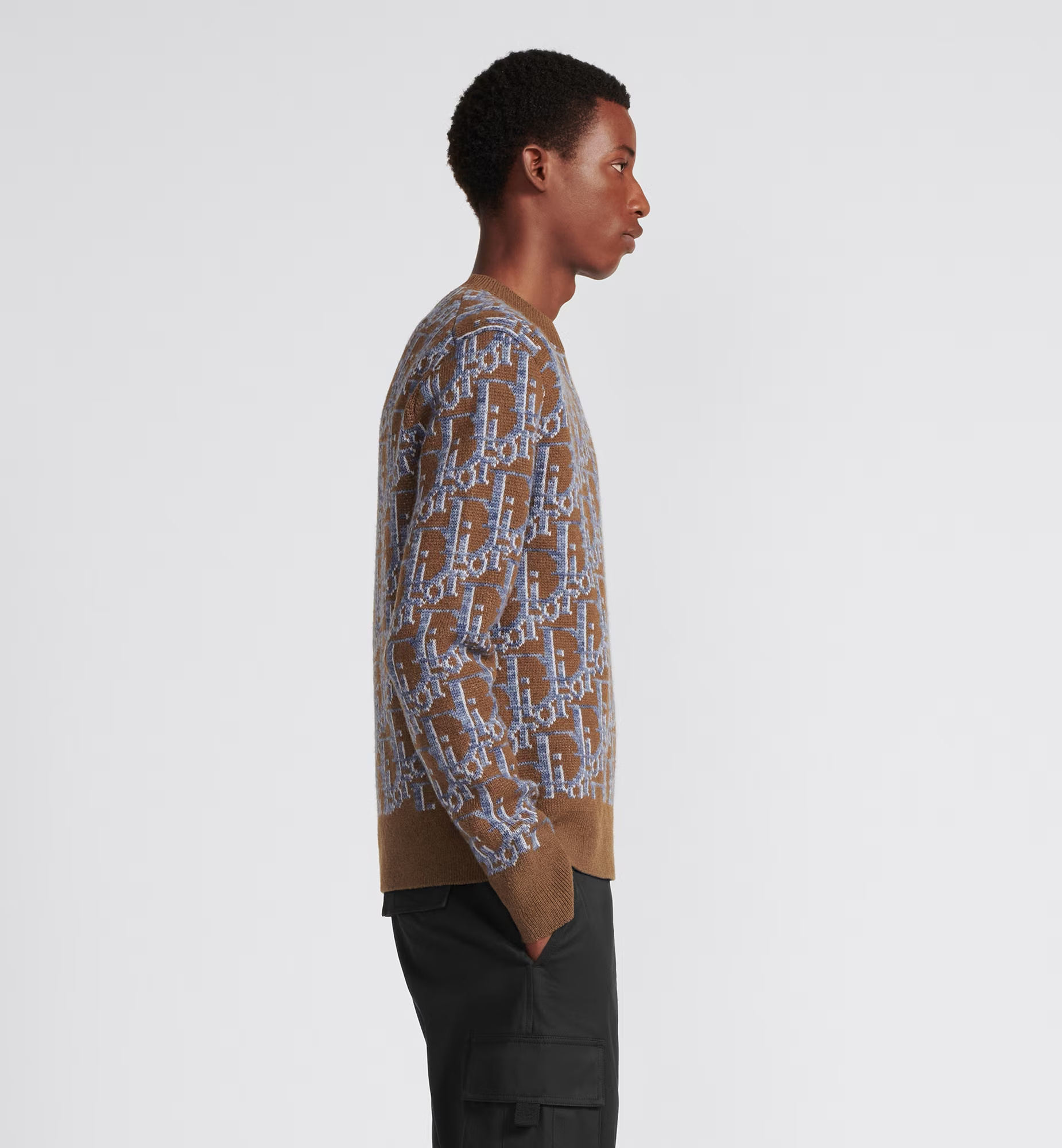 Dior Wool Jacquard Sweater In Multicolor