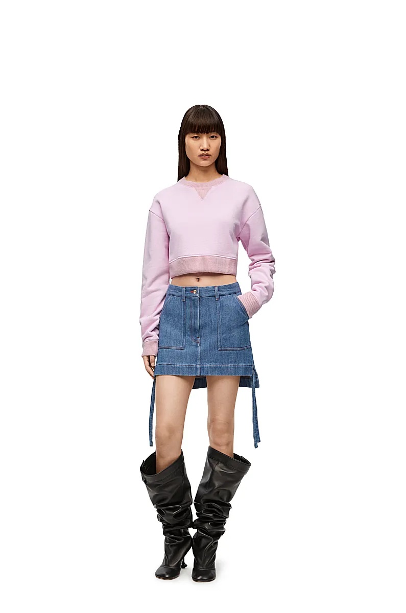 Loewe Long-sleeved Short-style Sweater In Purple