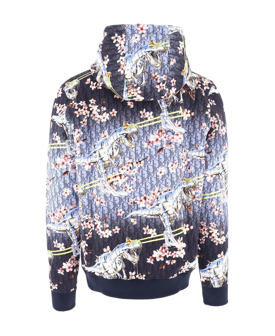Dior Kongshanji Co-branded Hooded Hooded Sweater In Multicolor