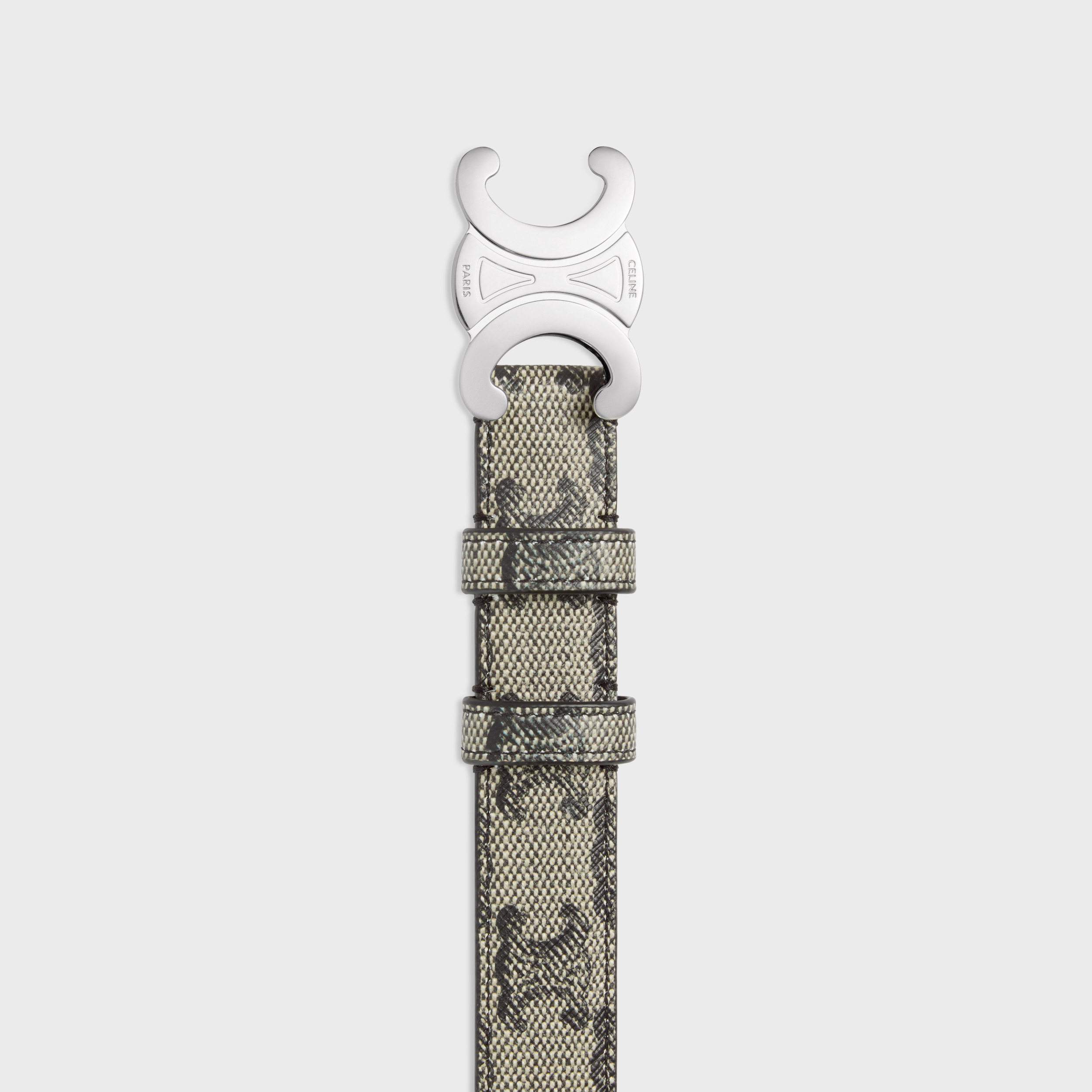 Celine Medium Logo Printed Belt In Gray