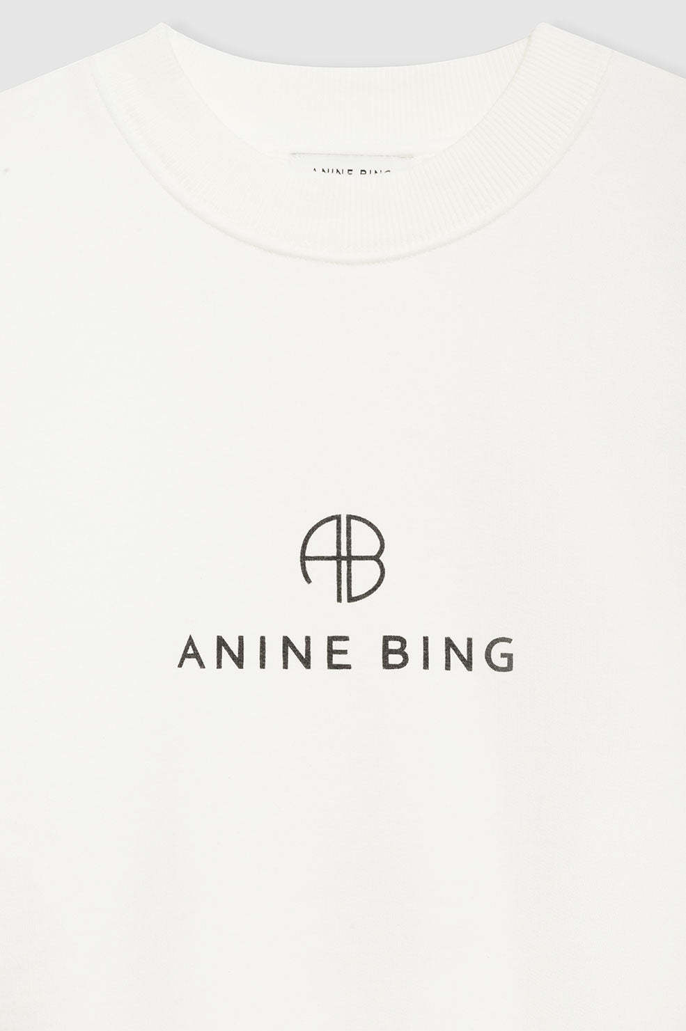 Shop Anine Bing Jaci Crew-neck Sweatshirt In White