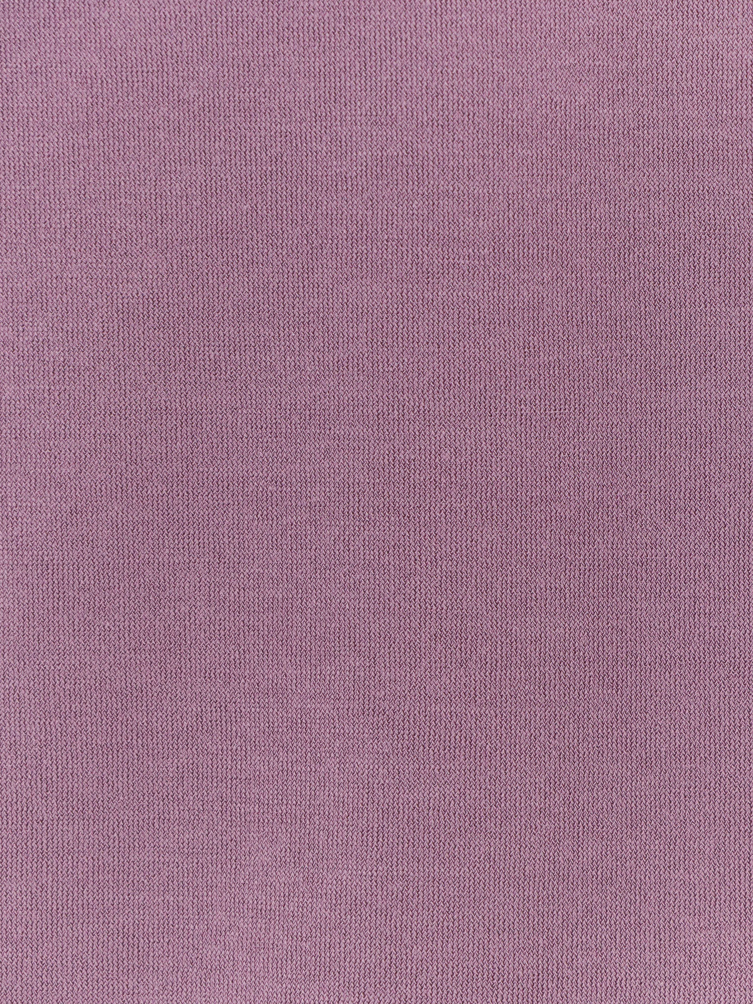 Zanone Crew-neck Cotton T-shirt In Purple
