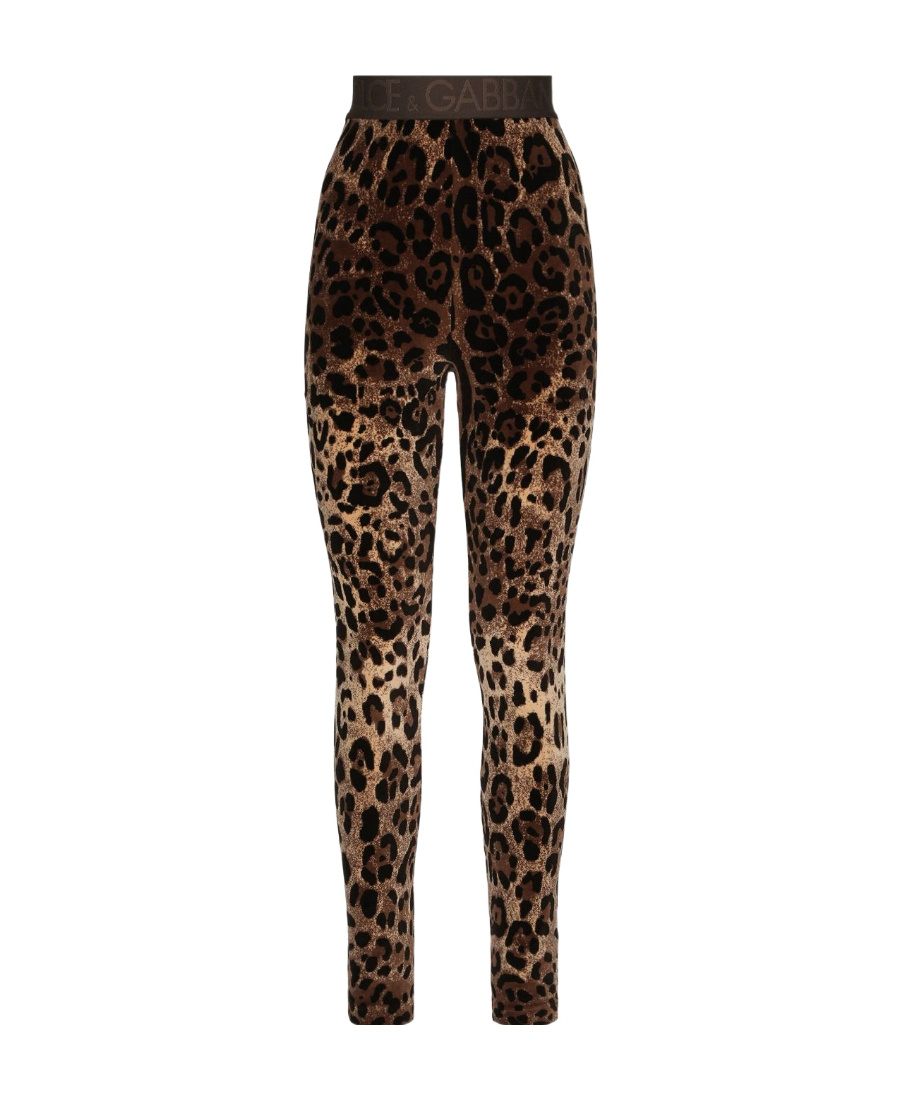 Dolce & Gabbana Leopard-print Jacquard Leggings In Black